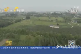 问政山东｜莱芜大汶河湿地公园烂尾多年，人工湖干涸，草有一人高图片