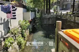 “我家前面池塘经常散发臭味 熏得窗户都开不了……”家住留下街的杭州女士很烦恼图片
