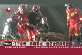 辽宁阜新：暴雨袭城  消防全面展开救援视频封面