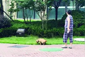 手中的狗绳何时能拴紧图片