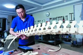 他是海洋世界“魔法师”为青岛水族馆“复活”千件珍稀标本图片