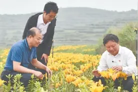 福建科技助力宁夏固原“山绿民富”图片