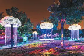 光影艺术点亮玉渊潭之夜图片