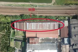 出击！越城区一750平方米违法建筑被拆除图片