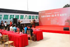 10万斤高钙“欧李果”北京平谷成熟上市图片
