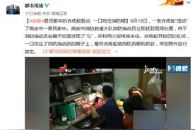 居民家中的赤练蛇挺凶，一口咬住消防帽图片