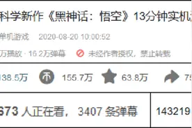 这款口碑炸裂的国产游戏，背后的故事比大家看到的悟空更精彩图片