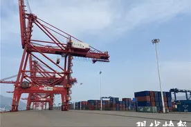 不断刷新面貌的东方桥头堡：加快展露自贸区现实模样图片