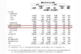 被忽视的阿里财报亮点：阿里巴巴国际站收入同比增长43%图片