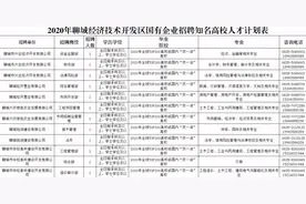 年薪10万+补贴！聊城开发区国企公开招聘12名知名高校人才图片