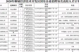 年薪10万+补贴！聊城开发区国企公开招聘12名知名高校人才图片