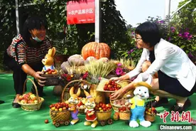 “提琴之乡”的李子熟了 10万斤高钙“欧李果”在京上市图片