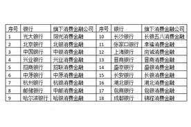 光大银行旗下阳光消费金融开业 消金公司已达27家图片