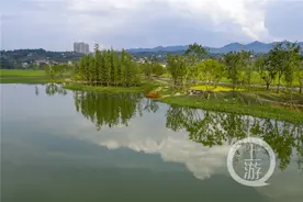 广阳岛明天开放，市民上岛怎么玩？上游新闻提前打探好了图片
