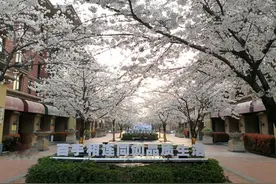 最新！海宁31个小区获“最美小区”“优秀小区”“风尚小区”！有你家吗？图片