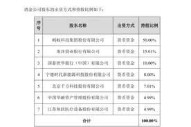 蚂蚁集团上市前夕，再获一枚金融牌照，价值何在？图片