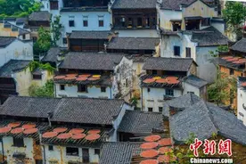 敲黑板！处暑节气为啥吃鸭子、出游迎秋？图片