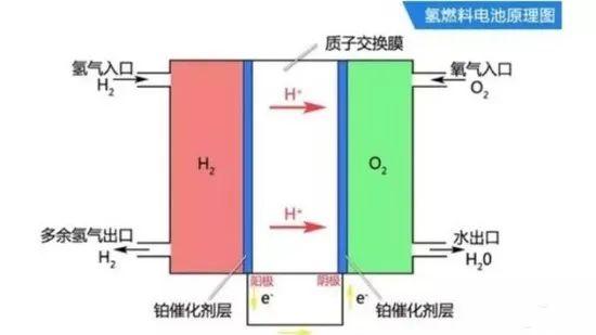 解读∣一篇搞懂铂族金属进口那些事儿