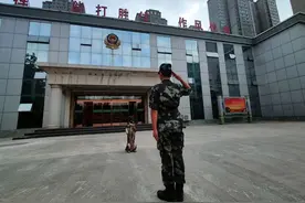 可盐可甜！带你走进“萌猛哒”军犬的一天！图片