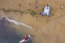 冲浪遇险 小情侣玩桨板被海流子带进深海图片