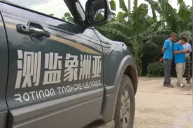 新华视点｜“追”野象的人图片