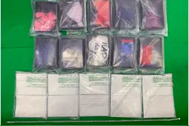 由英国空邮到港邮包藏5公斤K粉价值250万港元，香港一名15岁少年被拘捕图片