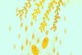 开饭啦图片