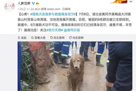 幸福！网红“泥身”搜救犬退役被首任训导员收养图片