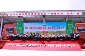 长春消防救援支队圆满完成第十九届农博会开幕式消防安保任务图片