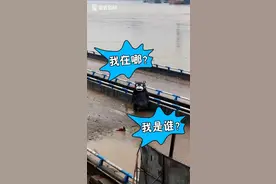 抗洪英熊！400斤熊本熊奇幻漂流1200米回家了图片