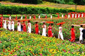 “高山花海·清凉三川”三川镇首届花式避暑直播活动成功举办图片