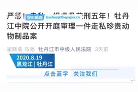 农民工出国务工拾虎骨带回国内获刑5年，经鉴定价值20万元图片