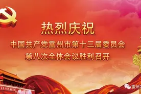 “跨坎会战”干货满满！中共雷州市委十三届八次全会召开图片