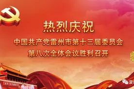 “跨坎会战”干货满满！中共雷州市委十三届八次全会召开图片