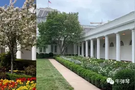 最惊艳对比照，特朗普一家这样改造了白宫图片