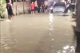 泉州丰泽金屿社区：海水凌晨忽然倒灌 居民相互通知挪车图片