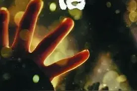多部影片定档，周末一起去电影院来一场视听盛宴吧图片