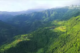 百香果香满坡 龙塘飘扬致富歌视频封面