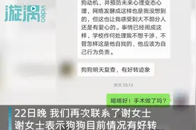 准研究生虐狗事件狗主人发声：狗狗病情好转 不想干涉学校如何处理图片
