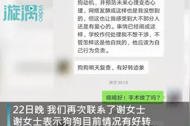 准研究生虐狗事件狗主人发声：狗狗病情好转 不想干涉学校如何处理图片