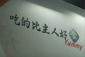 吃得比主人好？亚宠展上的猫粮鄙视链，喂冻干的都是“隐形土豪”图片