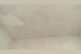 顶楼住户天花板渗水、发霉，楼上天台变“菜园”？图片