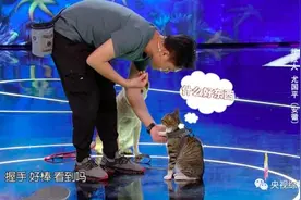 朱迅首次搭档宠物明星大黄，情感催泪大戏即将上演图片