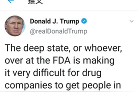 名词解释丨特朗普屡次提到阻止他连任的“深层政府”到底是个什么鬼图片
