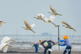 防城港 | 带你游东兴，一天时间，就可get最多的东兴口岸免费网红打卡点！图片