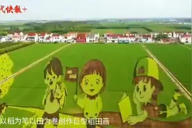 老农场变身网红，张家港常阴沙是怎么做到的？图片