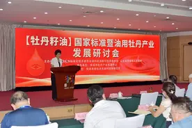 牡丹籽油国家标准启动制订 力促油用牡丹产业高质量发展图片