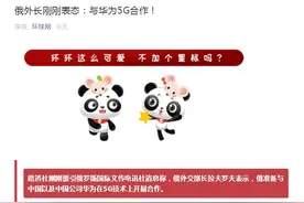 华为迎来大消息！俄外长刚刚表态，俄罗斯准备与中国以及华为开展5G技术合作图片