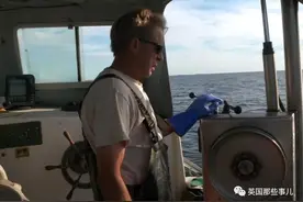 船长救了一只海鸥，没想到，却开启了一场15年的陪伴图片