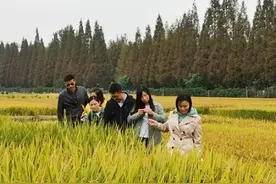 “永久牌”乡村振兴带头人如何打造图片